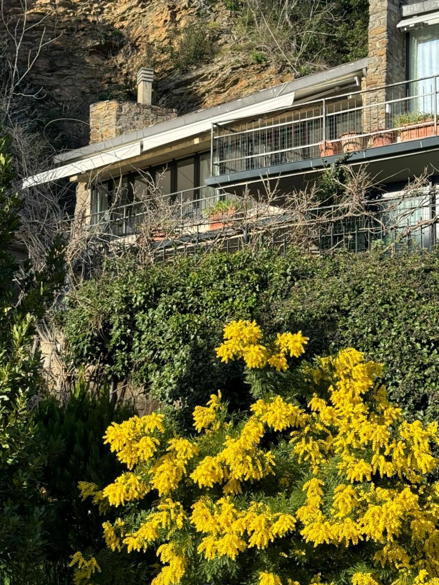 Florence Rock Apartment Exterior photo